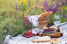 iStock-954816904.jpg