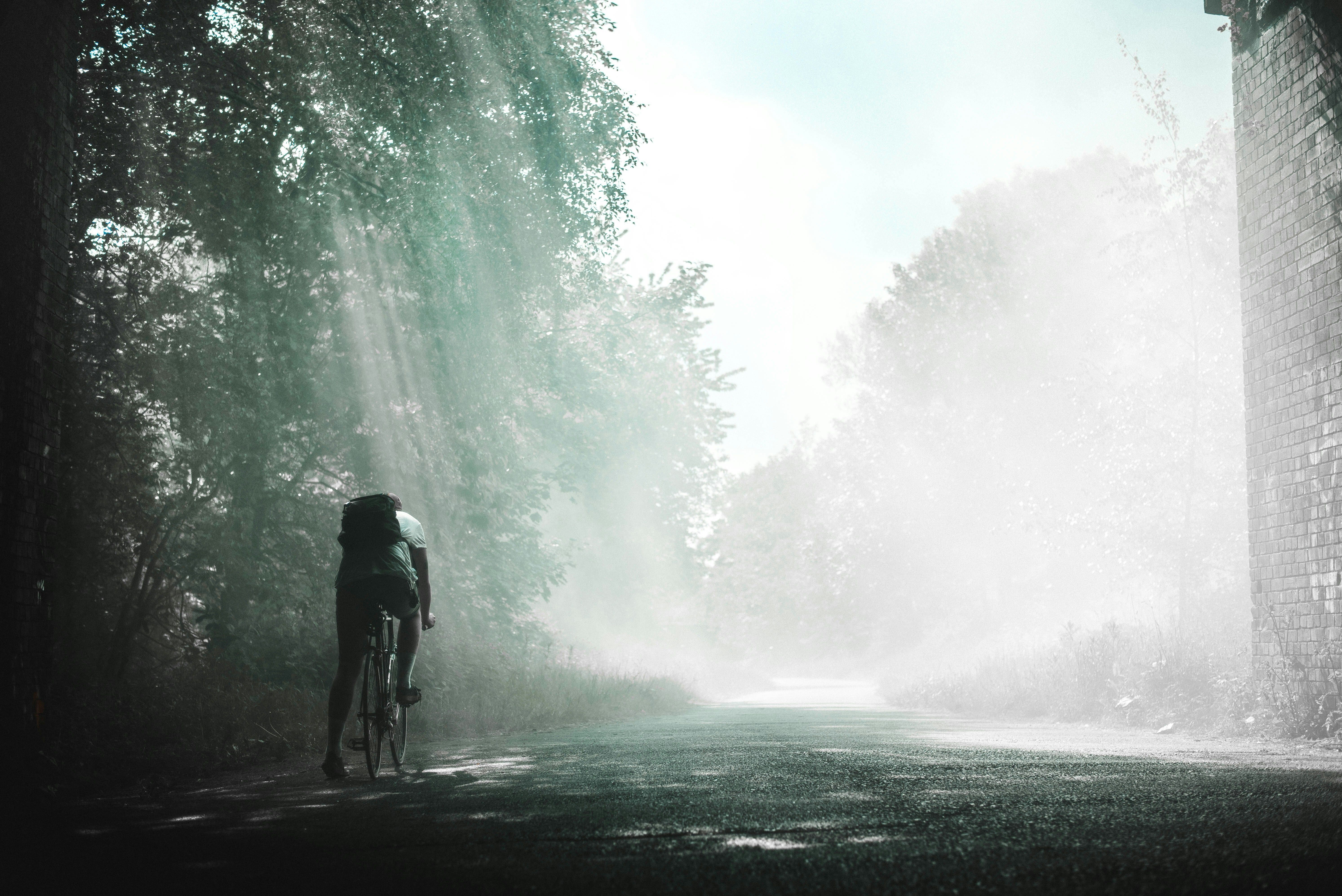 cycliste dans la foret