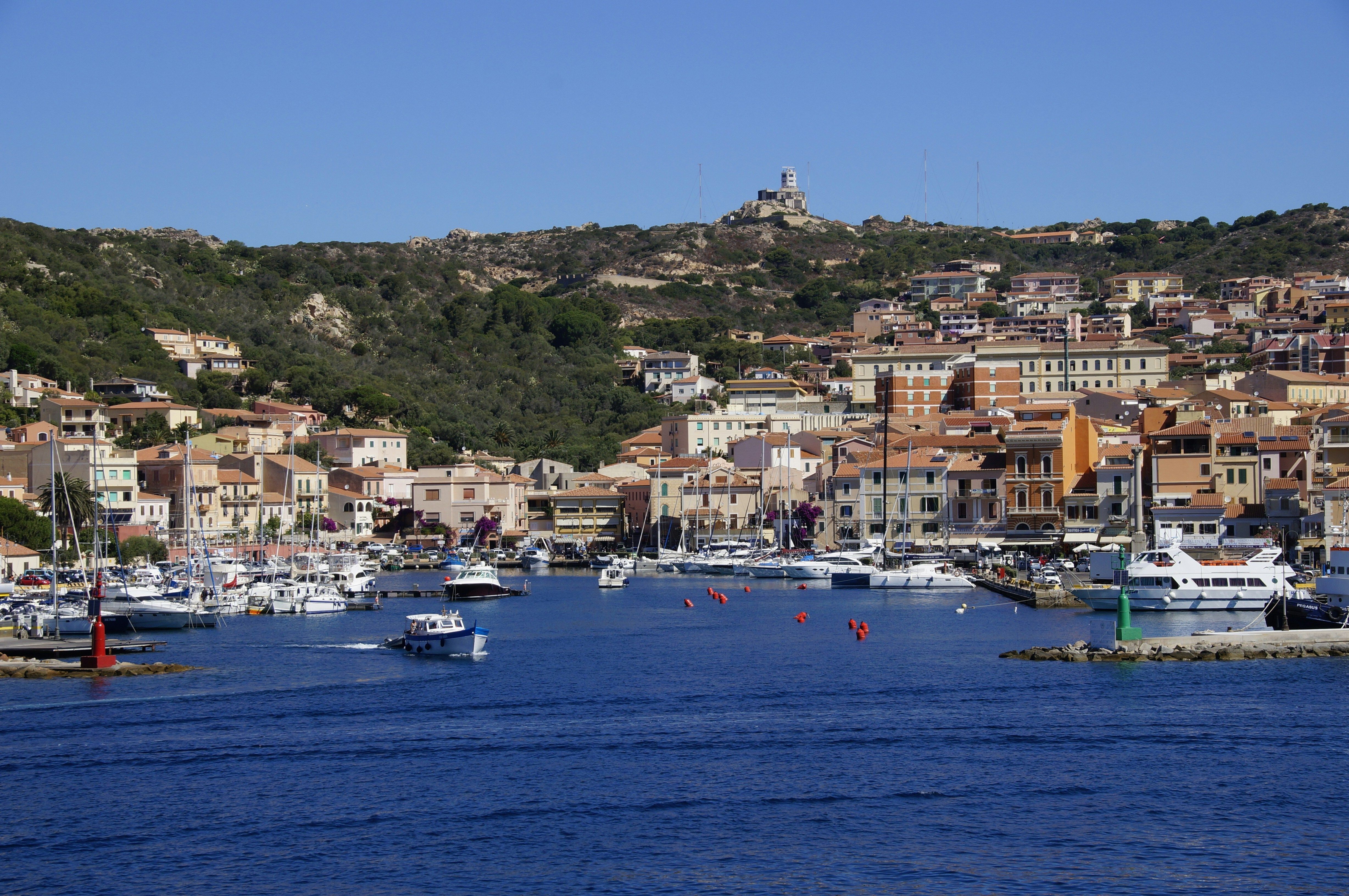 port avec bateaux et batiments et foret au fond