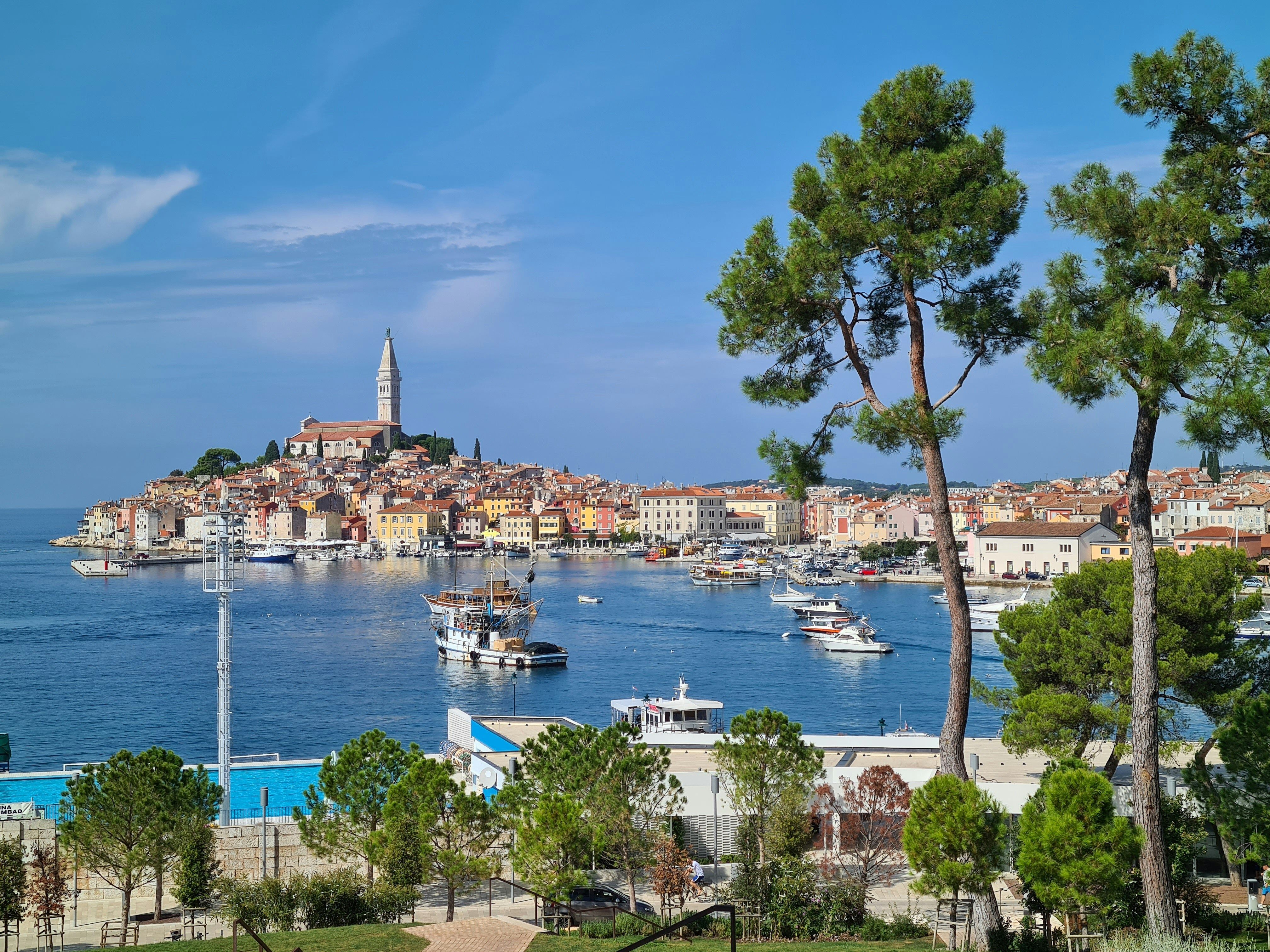 vue sur marina et ville de rovinj depuis un parc